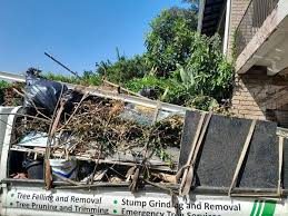 Best Attic Cleanout  in Adamsville, TN