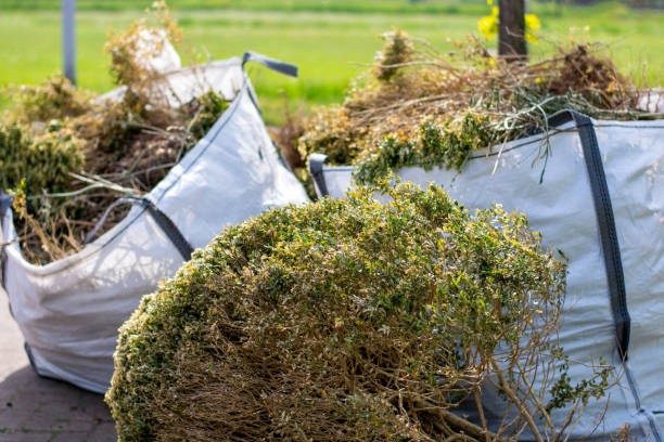 Professional Junk Removal Services in Adamsville, TN